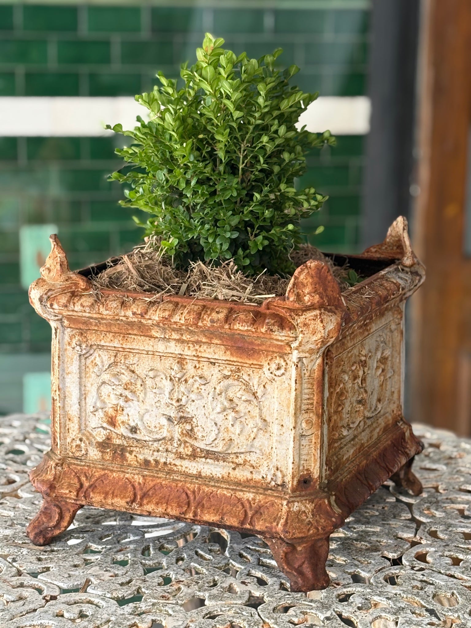 Pair of cast iron urns
