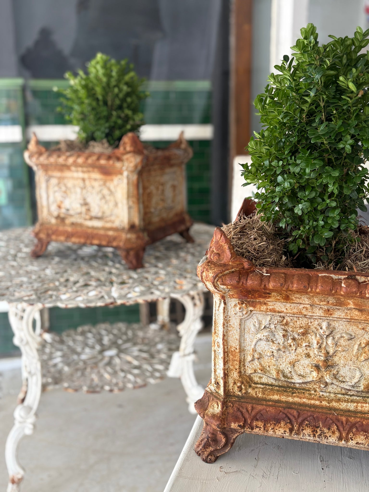 Pair of cast iron urns