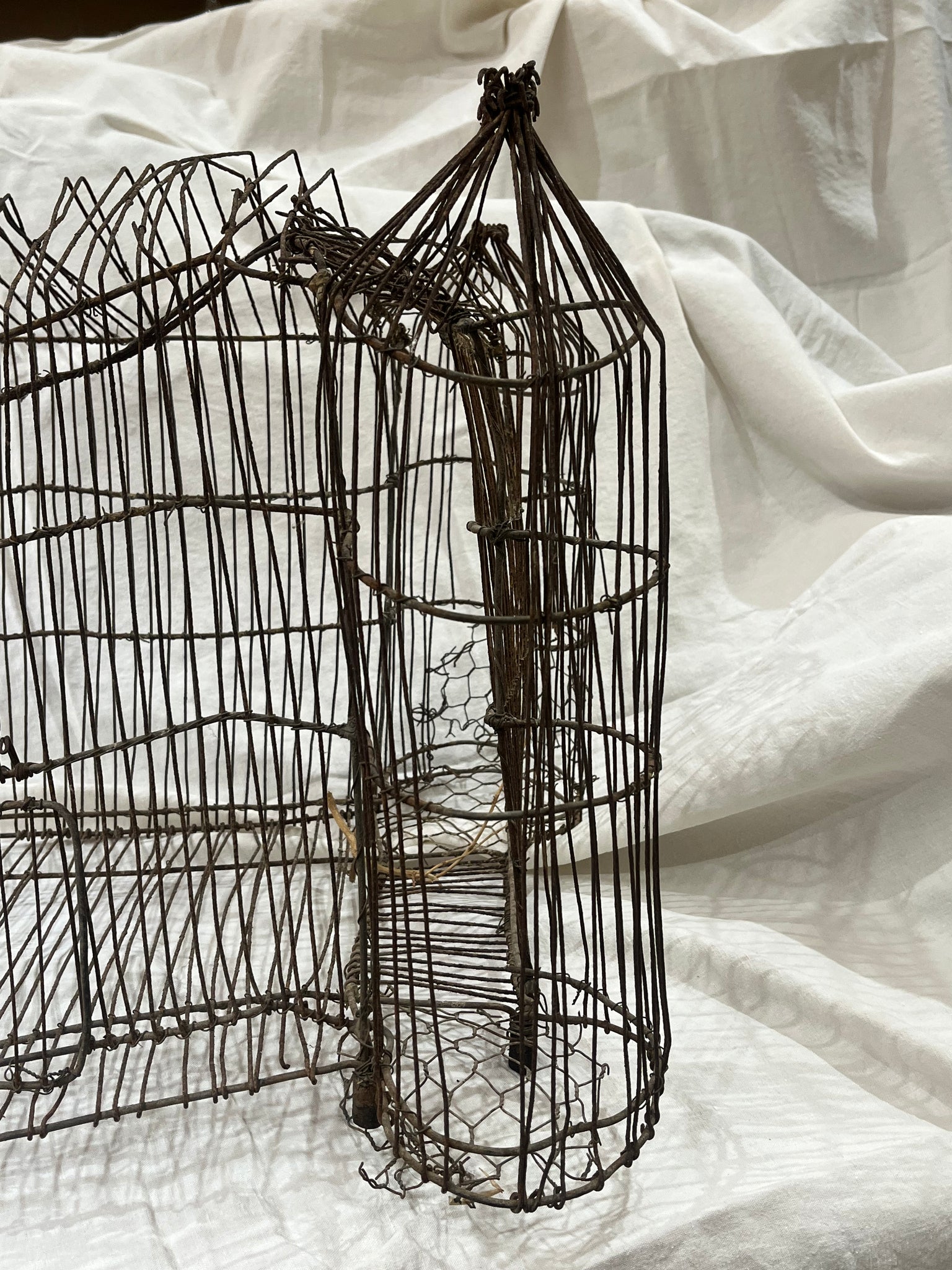 Wire birdcage