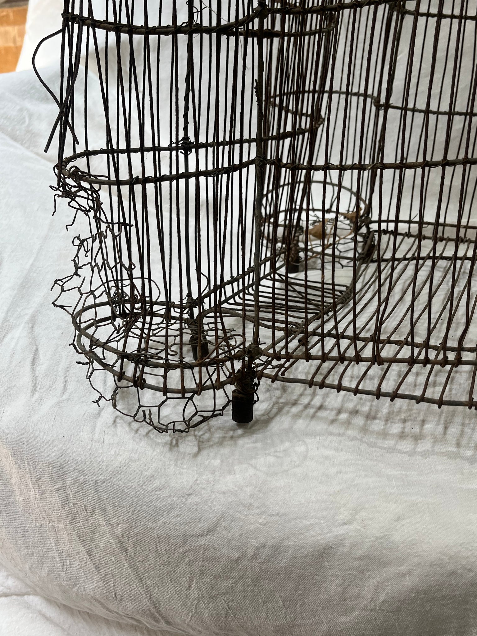 Wire birdcage