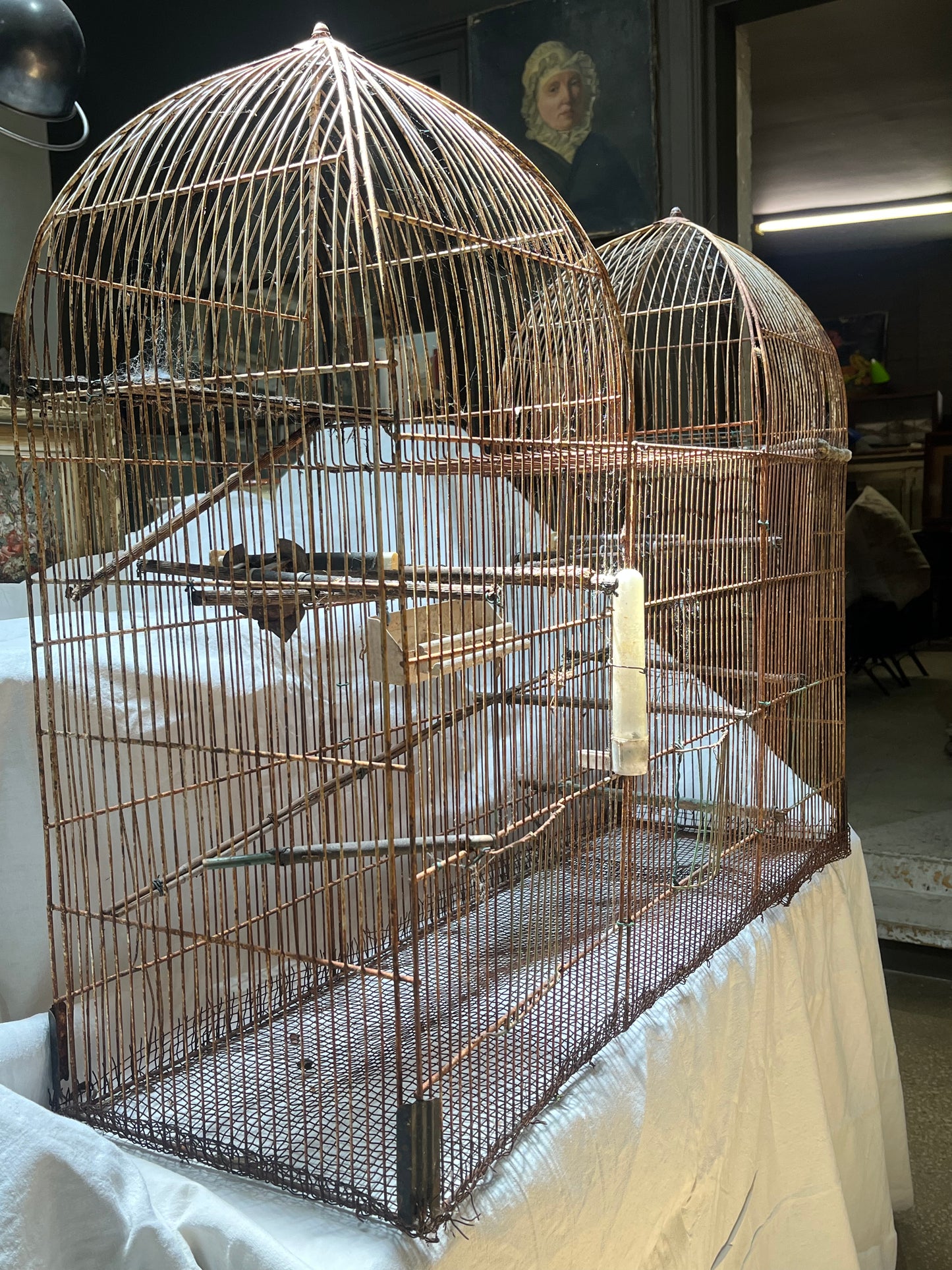 Large antique birdcage