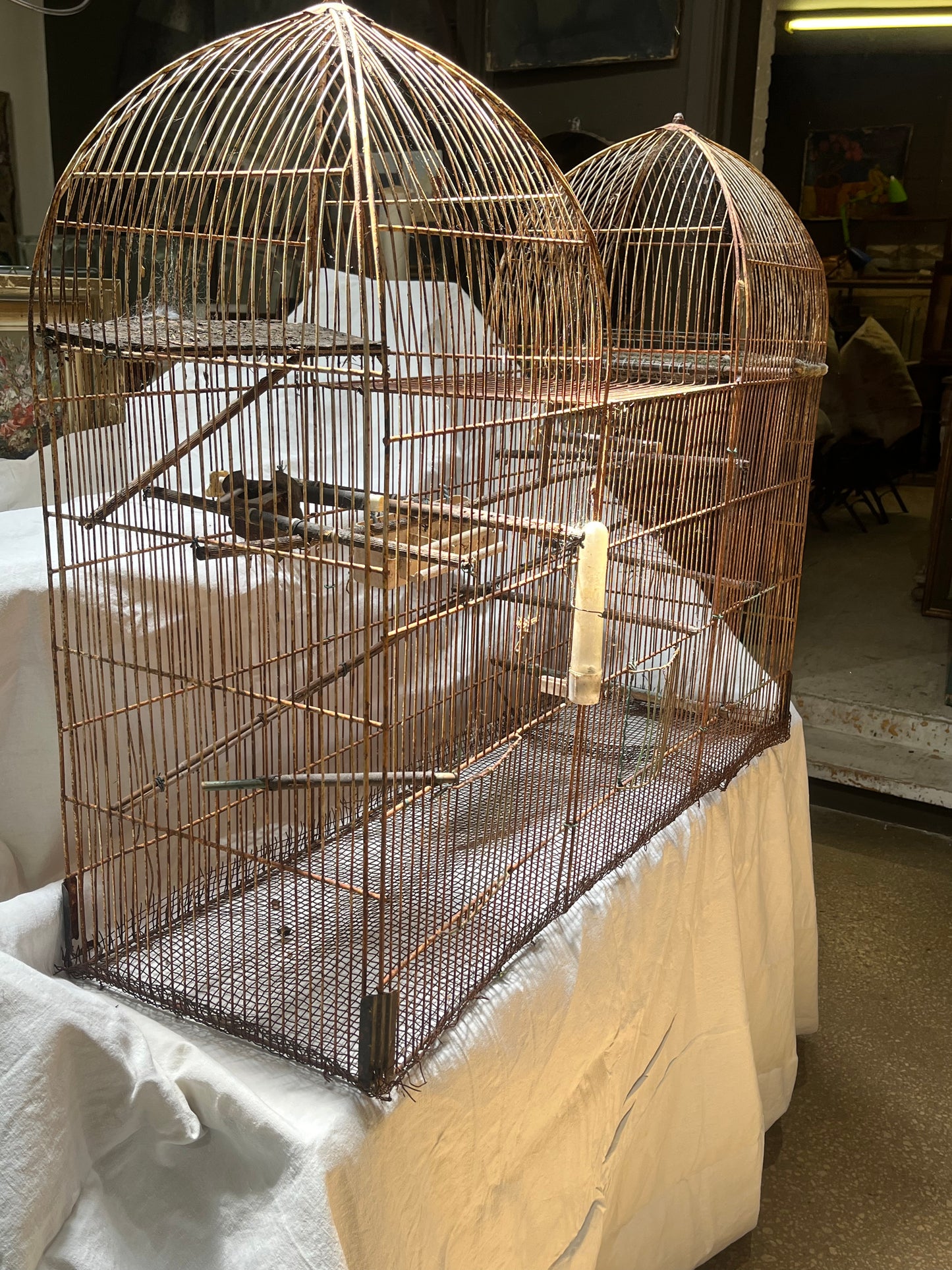 Large antique birdcage