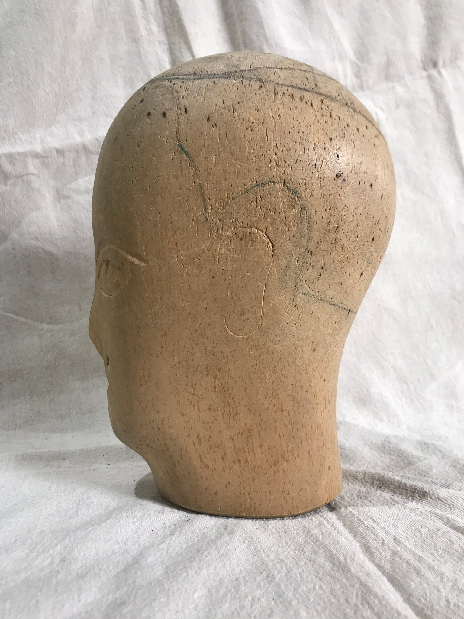 Antique barristers wig mannequin