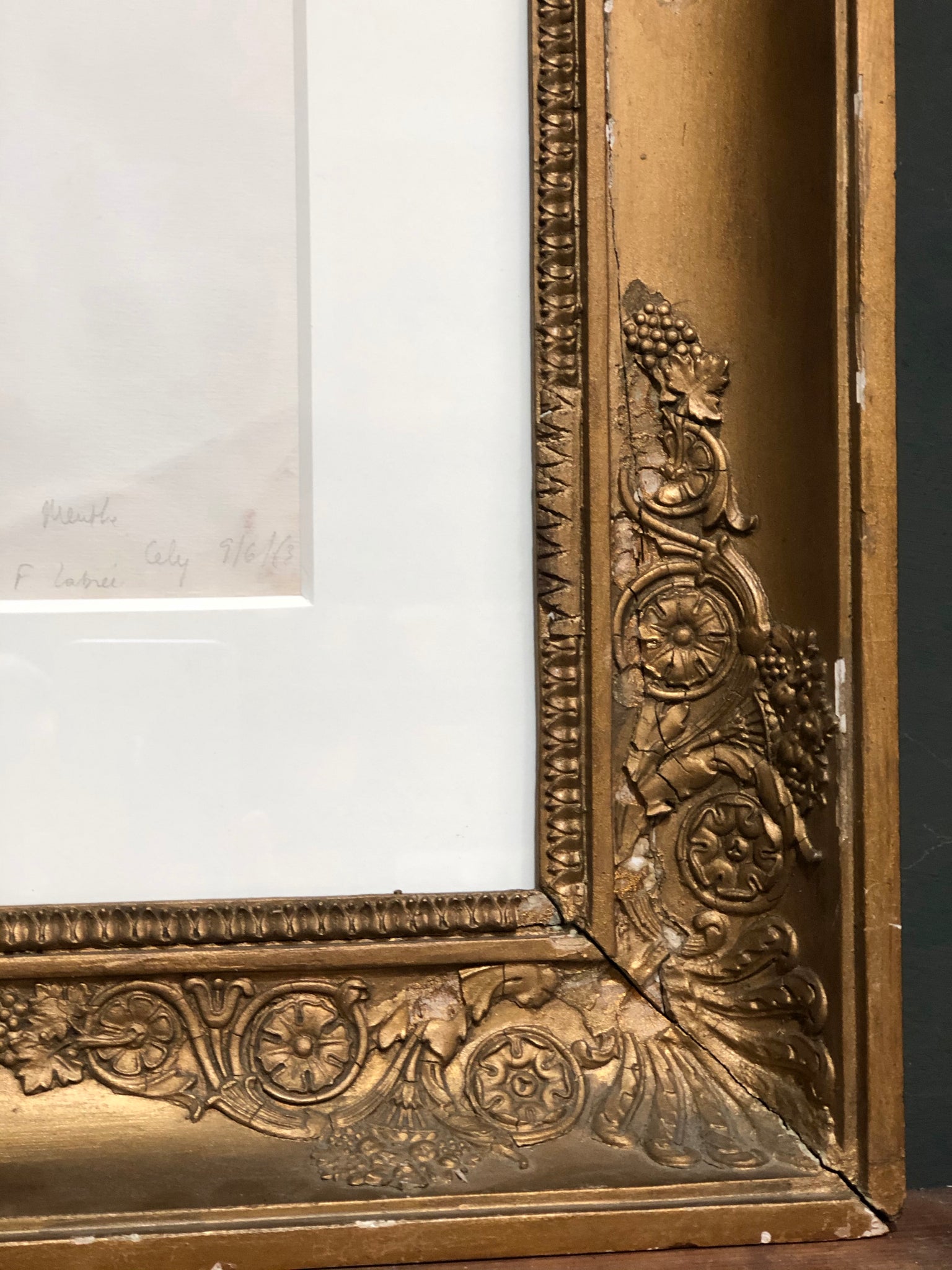 Gorgeous antique framed botanical specimen